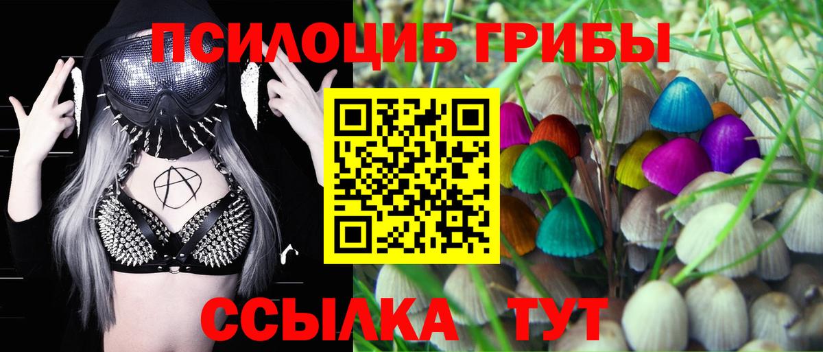 Псилоцибиновые грибы прущие грибы  где можно купить наркотик  Медногорск  Вход с VPN 